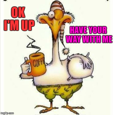 morning | OK I'M UP HAVE YOUR WAY WITH ME | image tagged in morning | made w/ Imgflip meme maker
