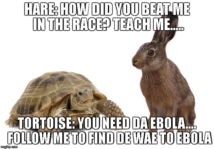 HARE: HOW DID YOU BEAT ME IN THE RACE?
TEACH ME..... TORTOISE: YOU NEED DA EBOLA.... 
FOLLOW ME TO FIND DE WAE TO EBOLA | image tagged in ugandan knuckles,jake paul,logan paul,wizard of oz,harry potter | made w/ Imgflip meme maker