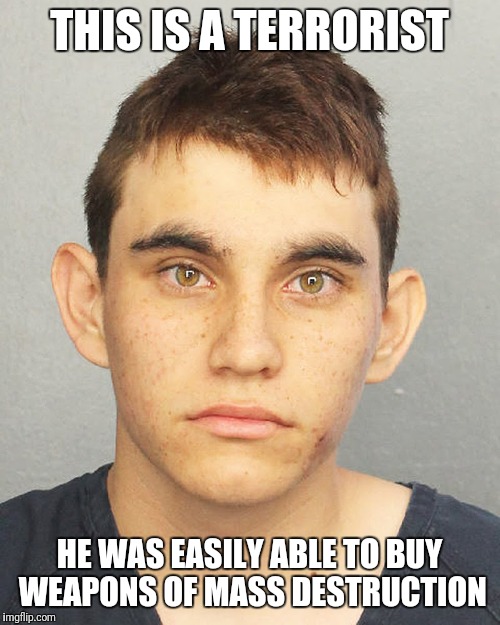 Domestic terrorist | THIS IS A TERRORIST; HE WAS EASILY ABLE TO BUY WEAPONS OF MASS DESTRUCTION | image tagged in terrorism,terrorist,weapons,gun control,trump 2016,trump supporter | made w/ Imgflip meme maker