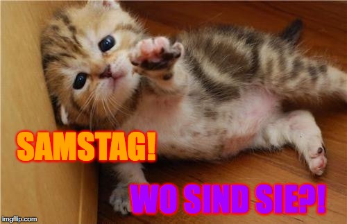 SAMSTAG! WO SIND SIE?! | made w/ Imgflip meme maker