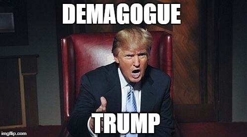 DEMAGOGUE; TRUMP | image tagged in donald trump | made w/ Imgflip meme maker