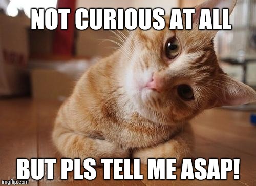 Curious Question Cat | NOT CURIOUS AT ALL; BUT PLS TELL ME ASAP! | image tagged in curious question cat | made w/ Imgflip meme maker