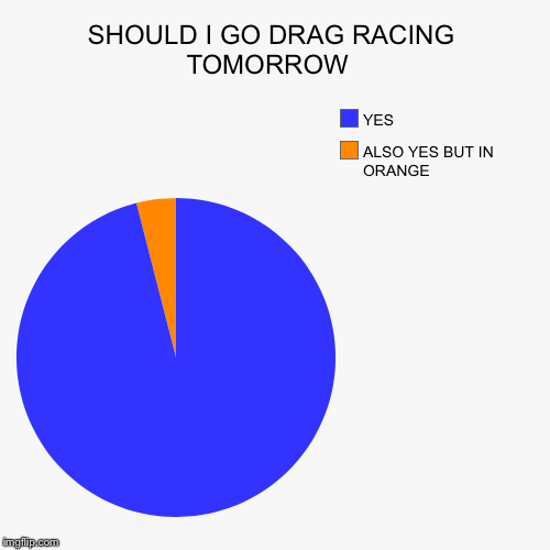 SHOULD I GO DRAG RACING TOMORROW  | ALSO YES BUT IN ORANGE , YES | image tagged in funny,pie charts | made w/ Imgflip chart maker