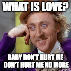 gene wilder | WHAT IS LOVE? BABY DON'T HURT ME DON'T HURT ME NO MORE | image tagged in love | made w/ Imgflip meme maker
