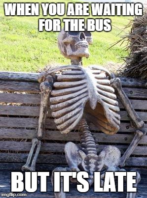 Waiting Skeleton | WHEN YOU ARE WAITING FOR THE BUS; BUT IT'S LATE | image tagged in memes,waiting skeleton | made w/ Imgflip meme maker