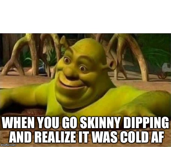 shrek | WHEN YOU GO SKINNY DIPPING AND REALIZE IT WAS COLD AF | image tagged in shrek | made w/ Imgflip meme maker