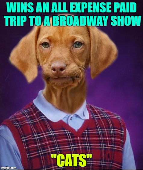 Bad Luck Raydog | WINS AN ALL EXPENSE PAID TRIP TO A BROADWAY SHOW; "CATS" | image tagged in bad luck raydog,memes,broadway,funny,cats,dogs | made w/ Imgflip meme maker
