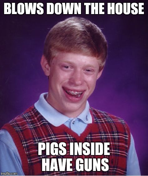 Bad Luck Brian Meme | BLOWS DOWN THE HOUSE PIGS INSIDE HAVE GUNS | image tagged in memes,bad luck brian | made w/ Imgflip meme maker