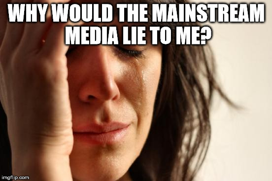 First World Problems | WHY WOULD THE MAINSTREAM MEDIA LIE TO ME? | image tagged in memes,first world problems | made w/ Imgflip meme maker