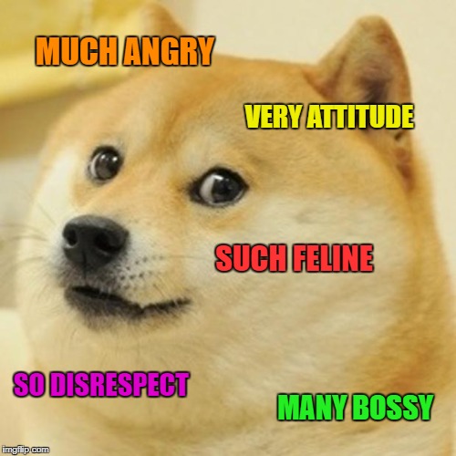 Doge Meme | MUCH ANGRY VERY ATTITUDE SUCH FELINE SO DISRESPECT MANY BOSSY | image tagged in memes,doge | made w/ Imgflip meme maker