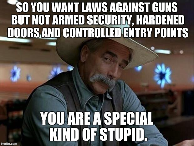 special kind of stupid | SO YOU WANT LAWS AGAINST GUNS BUT NOT ARMED SECURITY, HARDENED DOORS AND CONTROLLED ENTRY POINTS; YOU ARE A SPECIAL KIND OF STUPID. | image tagged in special kind of stupid | made w/ Imgflip meme maker