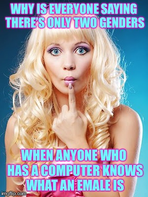 Dumb blonde | WHY IS EVERYONE SAYING THERE’S ONLY TWO GENDERS; WHEN ANYONE WHO HAS A COMPUTER KNOWS WHAT AN EMALE IS | image tagged in dumb blonde,memes,gender | made w/ Imgflip meme maker