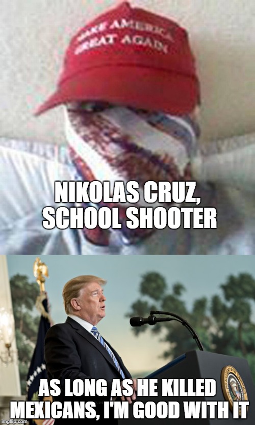 Old President Cheeto... at least the school shooter was only doing what he wanted him to, right??? | NIKOLAS CRUZ, SCHOOL SHOOTER; AS LONG AS HE KILLED MEXICANS, I'M GOOD WITH IT | image tagged in nikolas cruz,president cheeto,president trump,funny,memes,funny memes | made w/ Imgflip meme maker