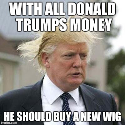 Donald Trump | WITH ALL DONALD TRUMPS MONEY; HE SHOULD BUY A NEW WIG | image tagged in donald trump | made w/ Imgflip meme maker