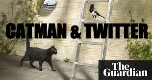 CATMAN & TWITTER | made w/ Imgflip meme maker