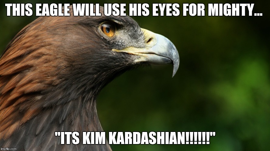 THIS EAGLE WILL USE HIS EYES FOR MIGHTY... "ITS KIM KARDASHIAN!!!!!!" | image tagged in mario jacovini | made w/ Imgflip meme maker