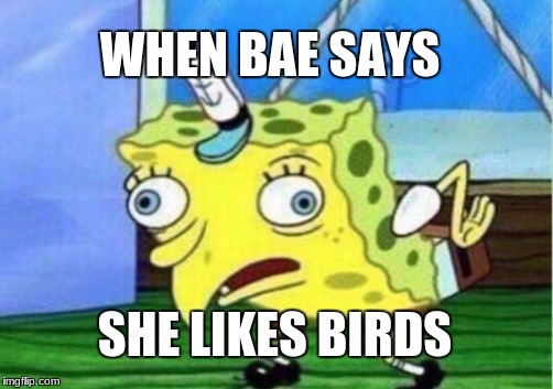 Mocking Spongebob | WHEN BAE SAYS; SHE LIKES BIRDS | image tagged in memes,mocking spongebob | made w/ Imgflip meme maker