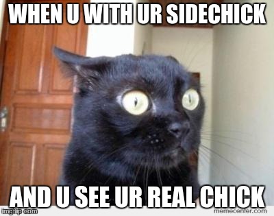 Scared Cat | WHEN U WITH UR SIDECHICK; AND U SEE UR REAL CHICK | image tagged in scared cat | made w/ Imgflip meme maker