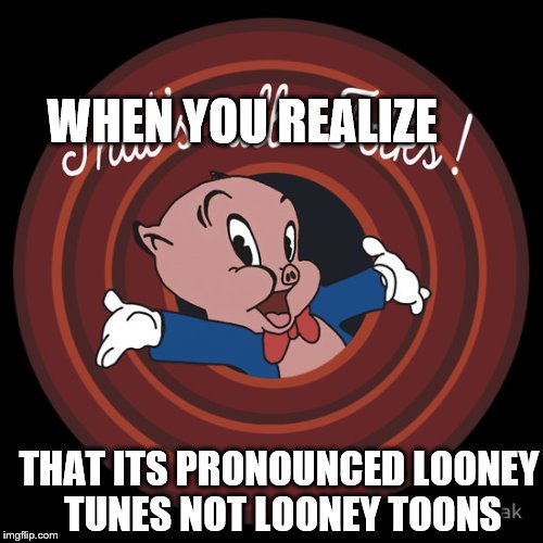 Thats all Folk's! | WHEN YOU REALIZE; THAT ITS PRONOUNCED LOONEY TUNES NOT LOONEY TOONS | image tagged in thats all folk's | made w/ Imgflip meme maker