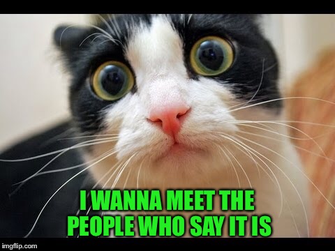 I WANNA MEET THE PEOPLE WHO SAY IT IS | made w/ Imgflip meme maker