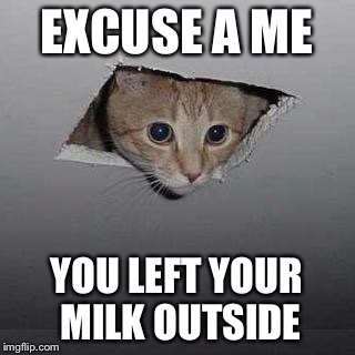 Ceiling Cat | EXCUSE A ME; YOU LEFT YOUR MILK OUTSIDE | image tagged in memes,ceiling cat | made w/ Imgflip meme maker