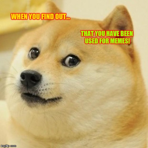 Doge Meme | WHEN YOU FIND OUT... THAT YOU HAVE BEEN USED FOR MEMES! | image tagged in memes,doge | made w/ Imgflip meme maker