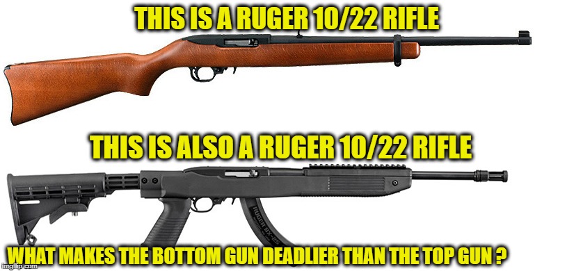 they both function the same | THIS IS A RUGER 10/22 RIFLE; THIS IS ALSO A RUGER 10/22 RIFLE; WHAT MAKES THE BOTTOM GUN DEADLIER THAN THE TOP GUN ? | image tagged in gun control,memes | made w/ Imgflip meme maker