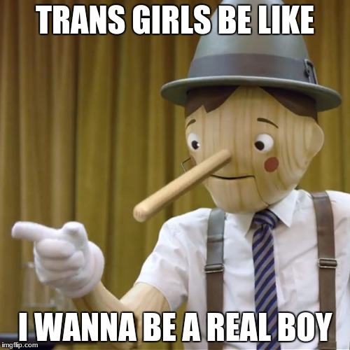 Geico Pinocchio  | TRANS GIRLS BE LIKE; I WANNA BE A REAL BOY | image tagged in geico pinocchio | made w/ Imgflip meme maker