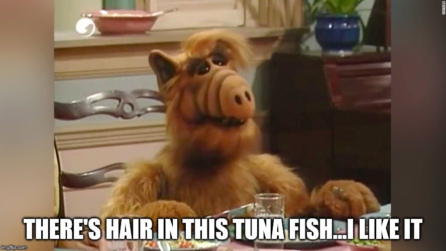 Yum | THERE'S HAIR IN THIS TUNA FISH...I LIKE IT | image tagged in alf,eating,tuna,hair | made w/ Imgflip meme maker