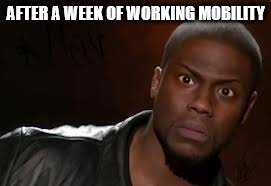 Kevin Hart Meme | AFTER A WEEK OF WORKING MOBILITY | image tagged in memes,kevin hart the hell | made w/ Imgflip meme maker