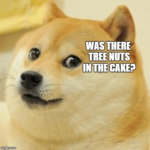 Doge | WAS THERE TREE NUTS IN THE CAKE? | image tagged in memes,doge | made w/ Imgflip meme maker