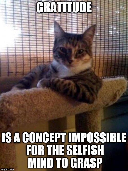 The Most Interesting Cat In The World Meme | GRATITUDE; IS A CONCEPT IMPOSSIBLE FOR THE SELFISH MIND TO GRASP | image tagged in memes,the most interesting cat in the world | made w/ Imgflip meme maker