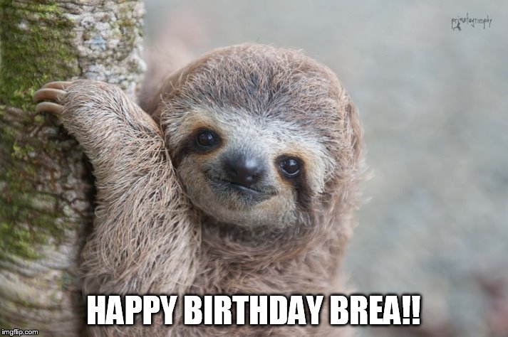 HAPPY BIRTHDAY BREA!! | image tagged in sloth | made w/ Imgflip meme maker