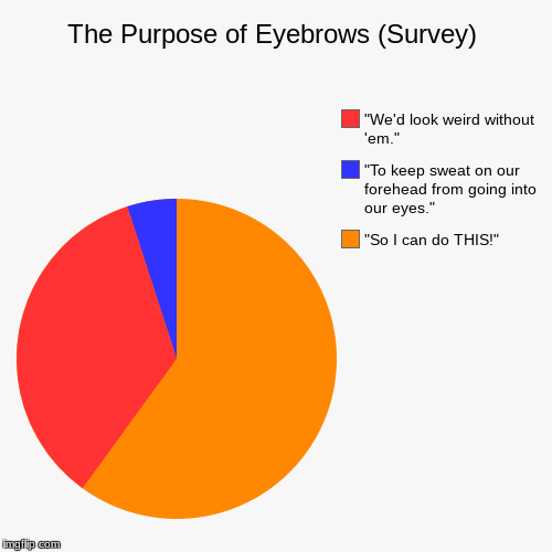 Why do we have eyebrows? | The Purpose of Eyebrows (Survey) | "So I can do THIS!", "To keep sweat on our forehead from going into our eyes.", "We'd look weird without  | image tagged in funny,pie charts,eyebrows,survey,sweat,eyes | made w/ Imgflip chart maker