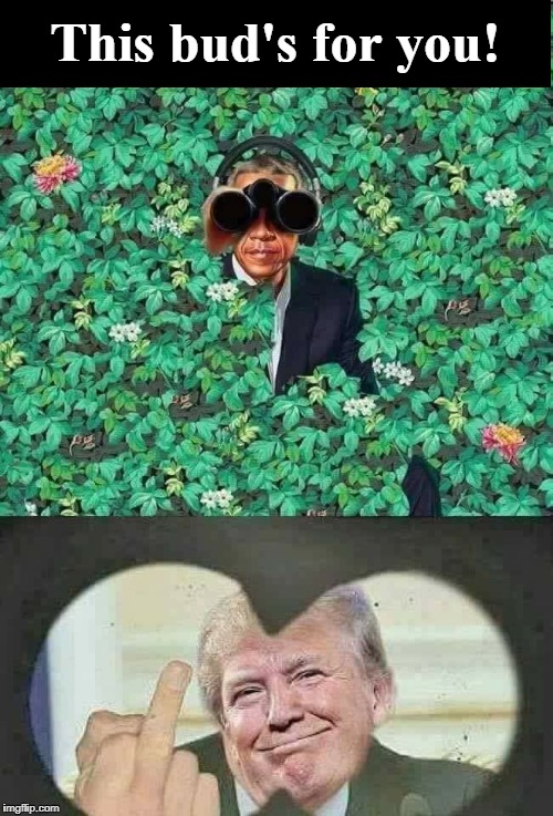 This bud's for you! | This bud's for you! | image tagged in obama,trump flipping obama the bird,this bud's for you | made w/ Imgflip meme maker