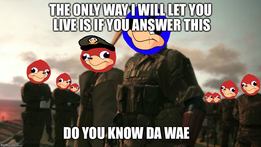 Uganda knuckles metal gear solid v | THE ONLY WAY I WILL LET YOU LIVE IS IF YOU ANSWER THIS; DO YOU KNOW DA WAE | image tagged in uganda knuckles metal gear solid v | made w/ Imgflip meme maker