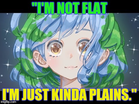 "I'M NOT FLAT I'M JUST KINDA PLAINS." | made w/ Imgflip meme maker