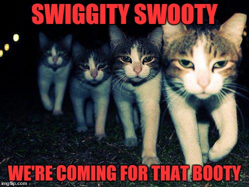 Wrong Neighboorhood Cats | SWIGGITY SWOOTY; WE'RE COMING FOR THAT BOOTY | image tagged in memes,wrong neighboorhood cats | made w/ Imgflip meme maker