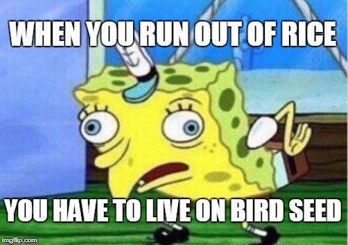 Mocking Spongebob Meme | WHEN YOU RUN OUT OF RICE; YOU HAVE TO LIVE ON BIRD SEED | image tagged in memes,mocking spongebob | made w/ Imgflip meme maker