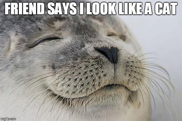 Satisfied Seal Meme | FRIEND SAYS I LOOK LIKE A CAT | image tagged in memes,satisfied seal | made w/ Imgflip meme maker