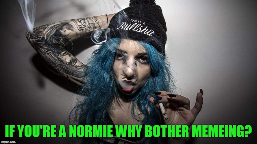 IF YOU'RE A NORMIE WHY BOTHER MEMEING? | made w/ Imgflip meme maker