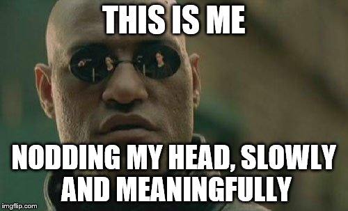 Matrix Morpheus Meme | THIS IS ME NODDING MY HEAD, SLOWLY AND MEANINGFULLY | image tagged in memes,matrix morpheus | made w/ Imgflip meme maker