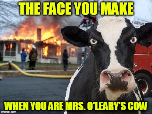 Mrs. O'Leary's Cow | THE FACE YOU MAKE; WHEN YOU ARE MRS. O'LEARY'S COW | image tagged in mrs o'leary's cow,funny,memes,mxm | made w/ Imgflip meme maker