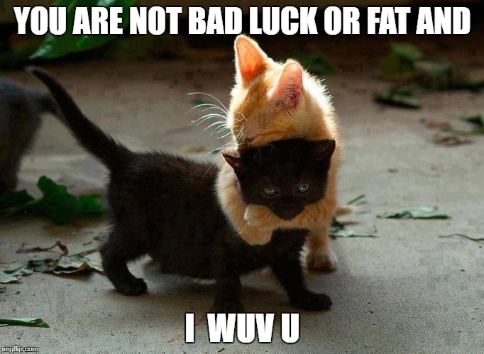 kitten hug | YOU ARE NOT BAD LUCK OR FAT AND; I  WUV U | image tagged in kitten hug | made w/ Imgflip meme maker