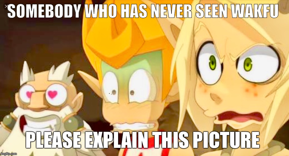 SOMEBODY WHO HAS NEVER SEEN WAKFU; PLEASE EXPLAIN THIS PICTURE | image tagged in wakfu,explain | made w/ Imgflip meme maker