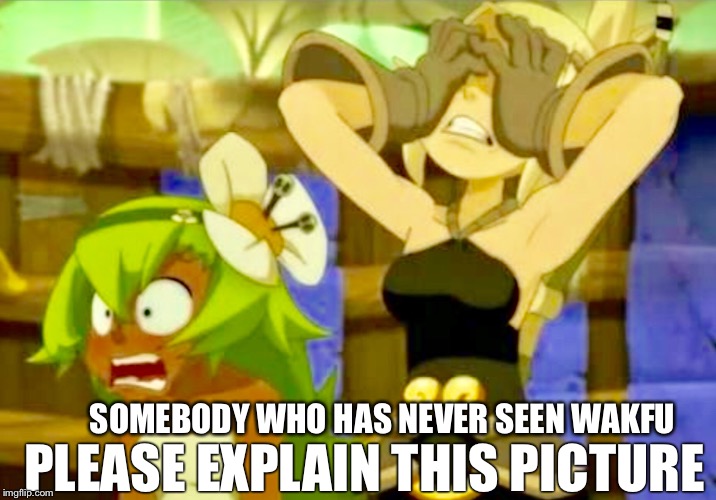 PLEASE EXPLAIN THIS PICTURE; SOMEBODY WHO HAS NEVER SEEN WAKFU | image tagged in wakfu,explain | made w/ Imgflip meme maker