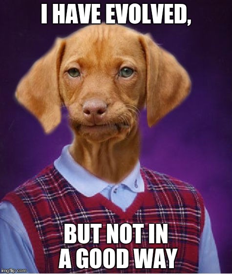 Bad Luck Raydog | I HAVE EVOLVED, BUT NOT IN A GOOD WAY | image tagged in bad luck raydog | made w/ Imgflip meme maker