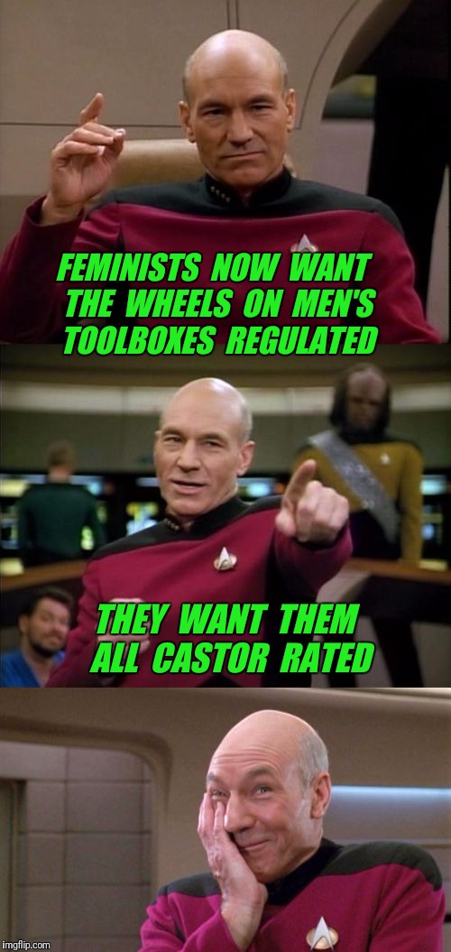 Bad Pun Picard | FEMINISTS  NOW  WANT  THE  WHEELS  ON  MEN'S  TOOLBOXES  REGULATED; THEY  WANT  THEM  ALL  CASTOR  RATED | image tagged in bad pun picard,feminism,castration,bad puns | made w/ Imgflip meme maker