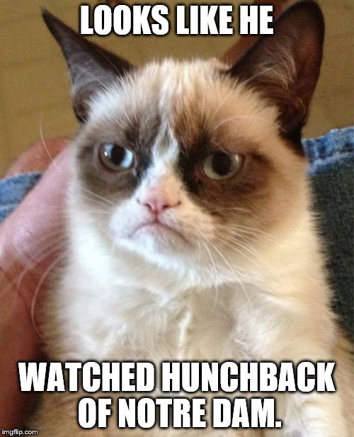 Grumpy Cat Meme | LOOKS LIKE HE WATCHED HUNCHBACK OF NOTRE DAM. | image tagged in memes,grumpy cat | made w/ Imgflip meme maker