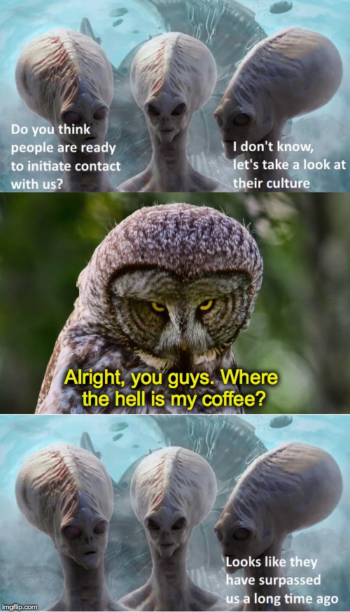 Impatient Owl | Alright, you guys. Where the hell is my coffee? | image tagged in clout vs coffee | made w/ Imgflip meme maker